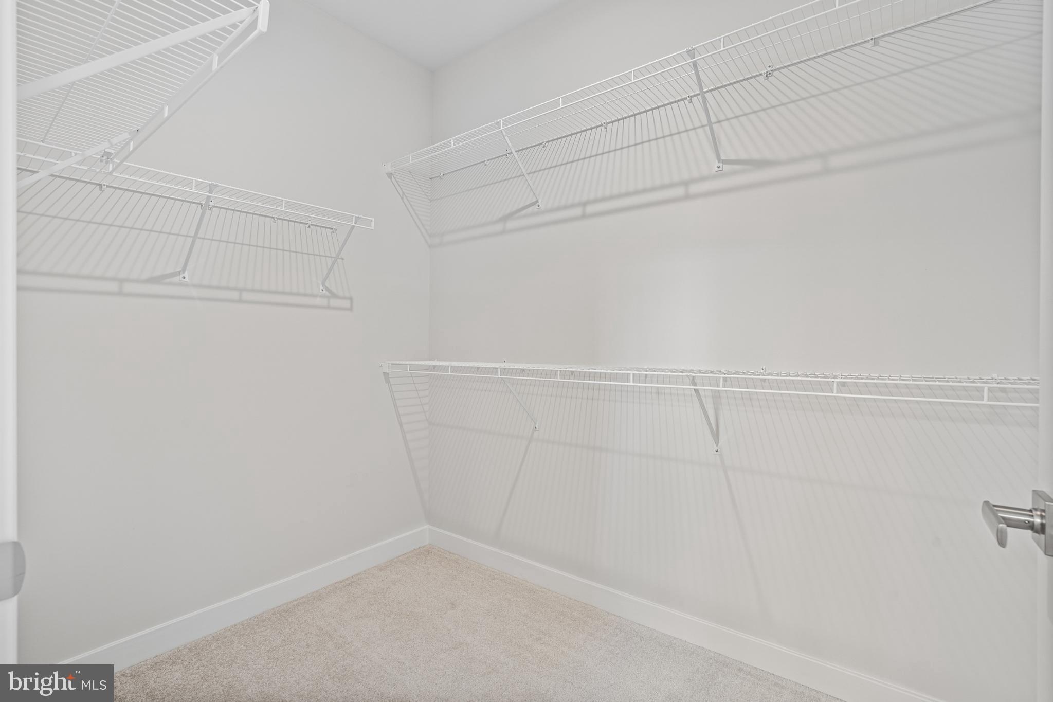 1132 Daffodil Pl