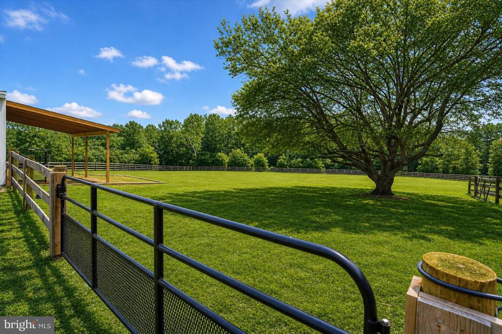 875 LOCUST GROVE ROAD