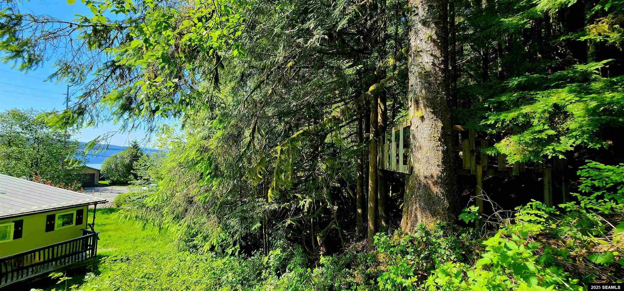 5526 Tongass Hwy.