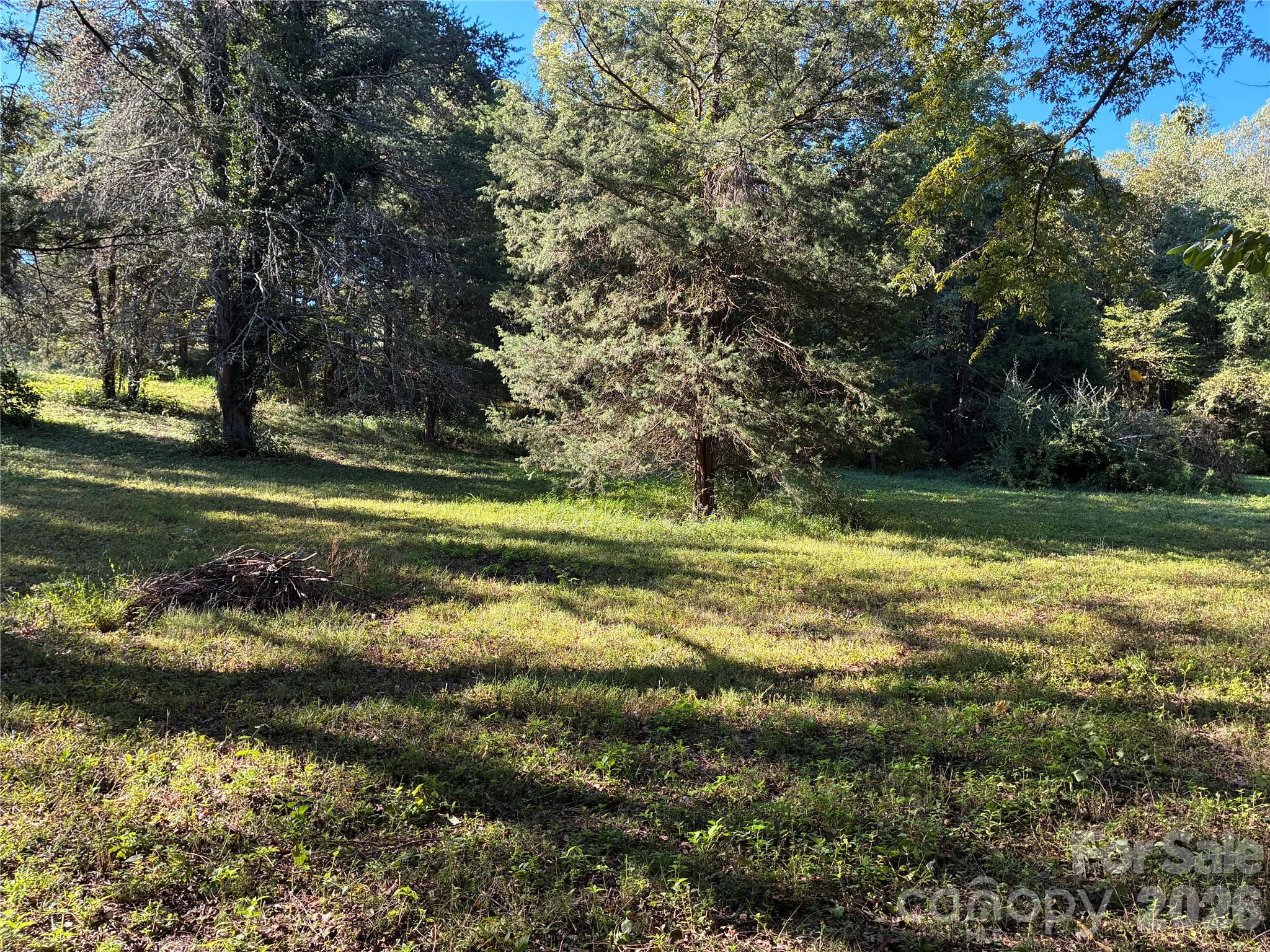 16506 Whispering Oaks Lane