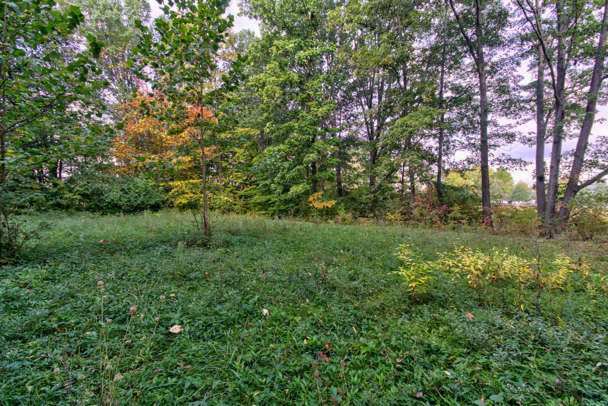 7755 Beck Lane