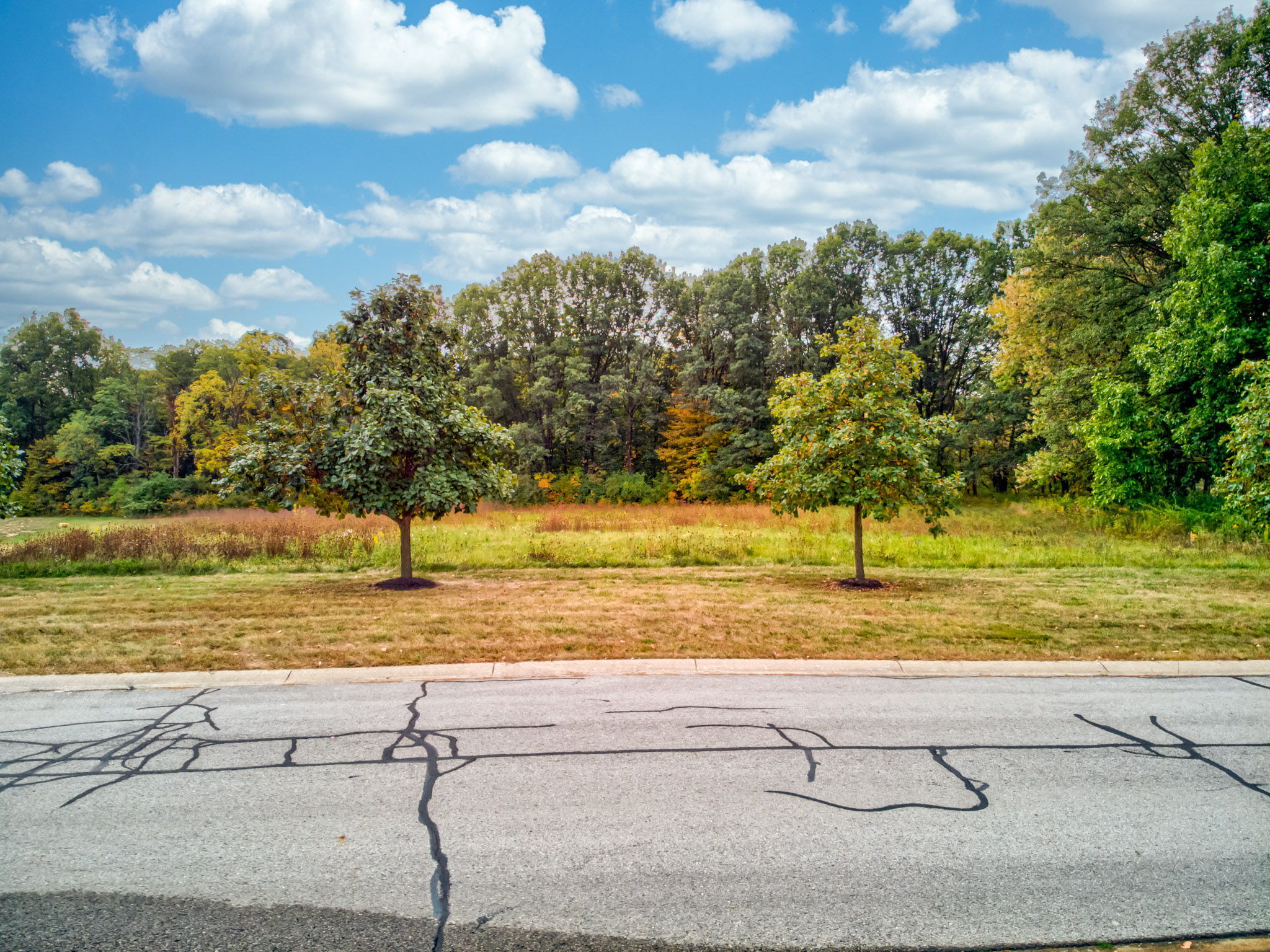 7755 Beck Lane