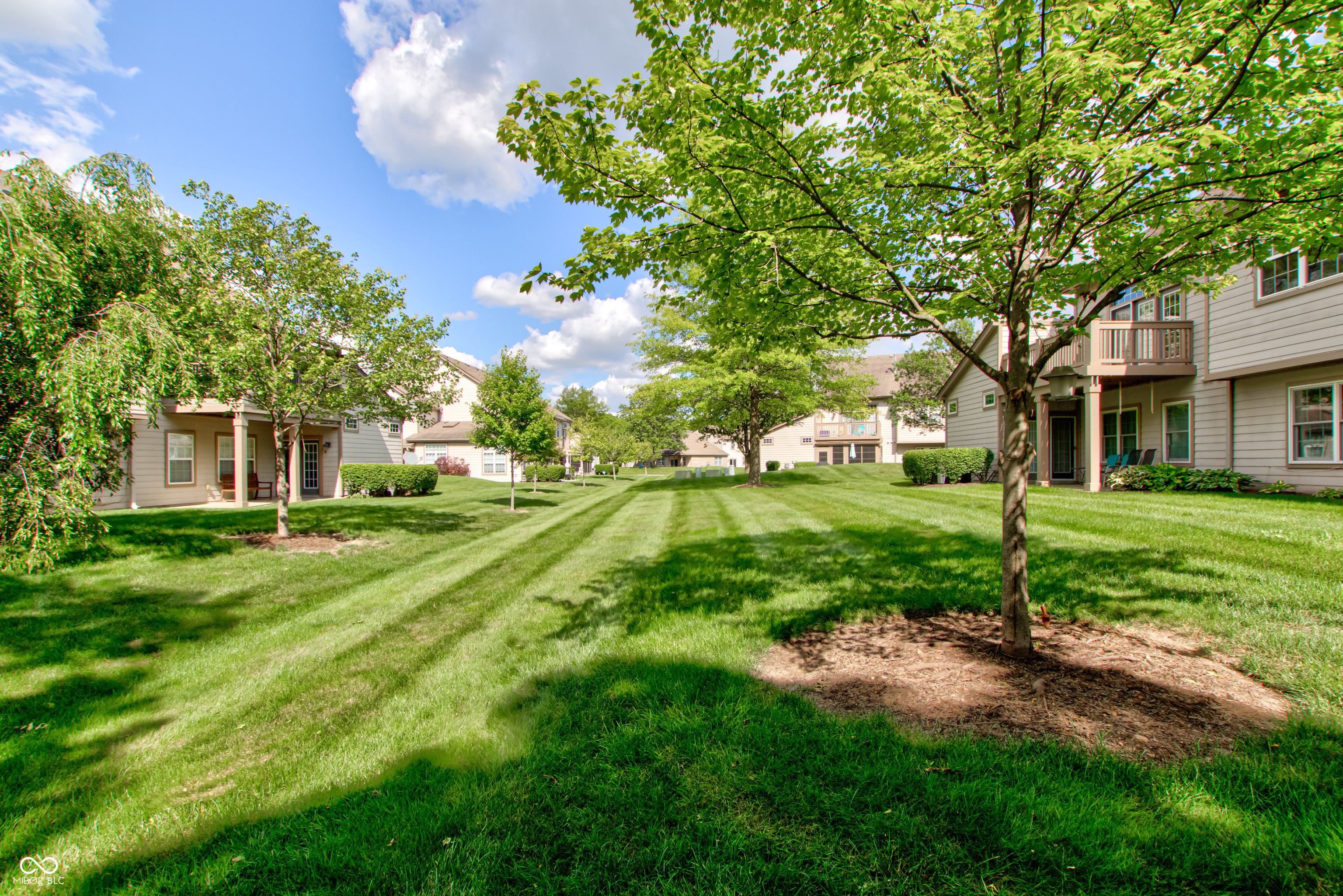 9084 Alcott Court