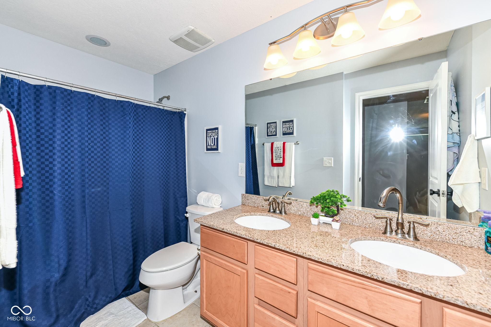 11179 Patmore Ash Drive