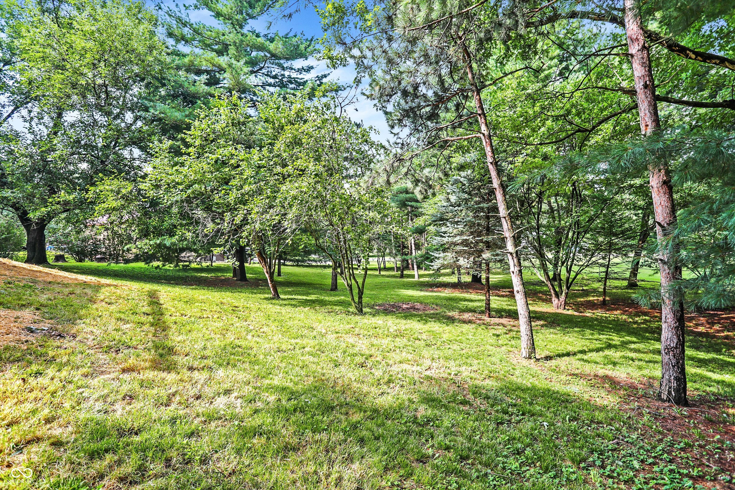 7236 E Spring Lake Road