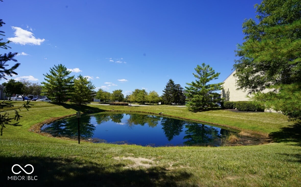 9067 Alcott Court