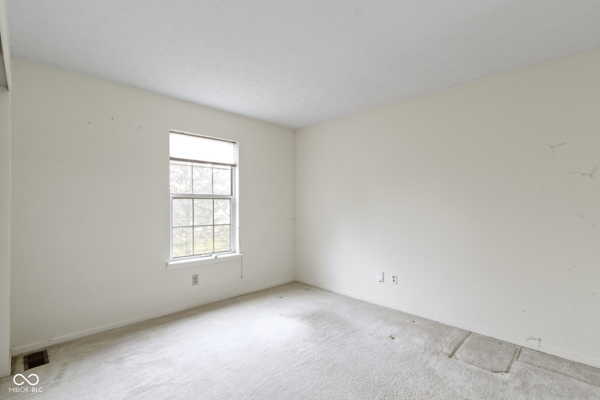 7020 Ringtail Court