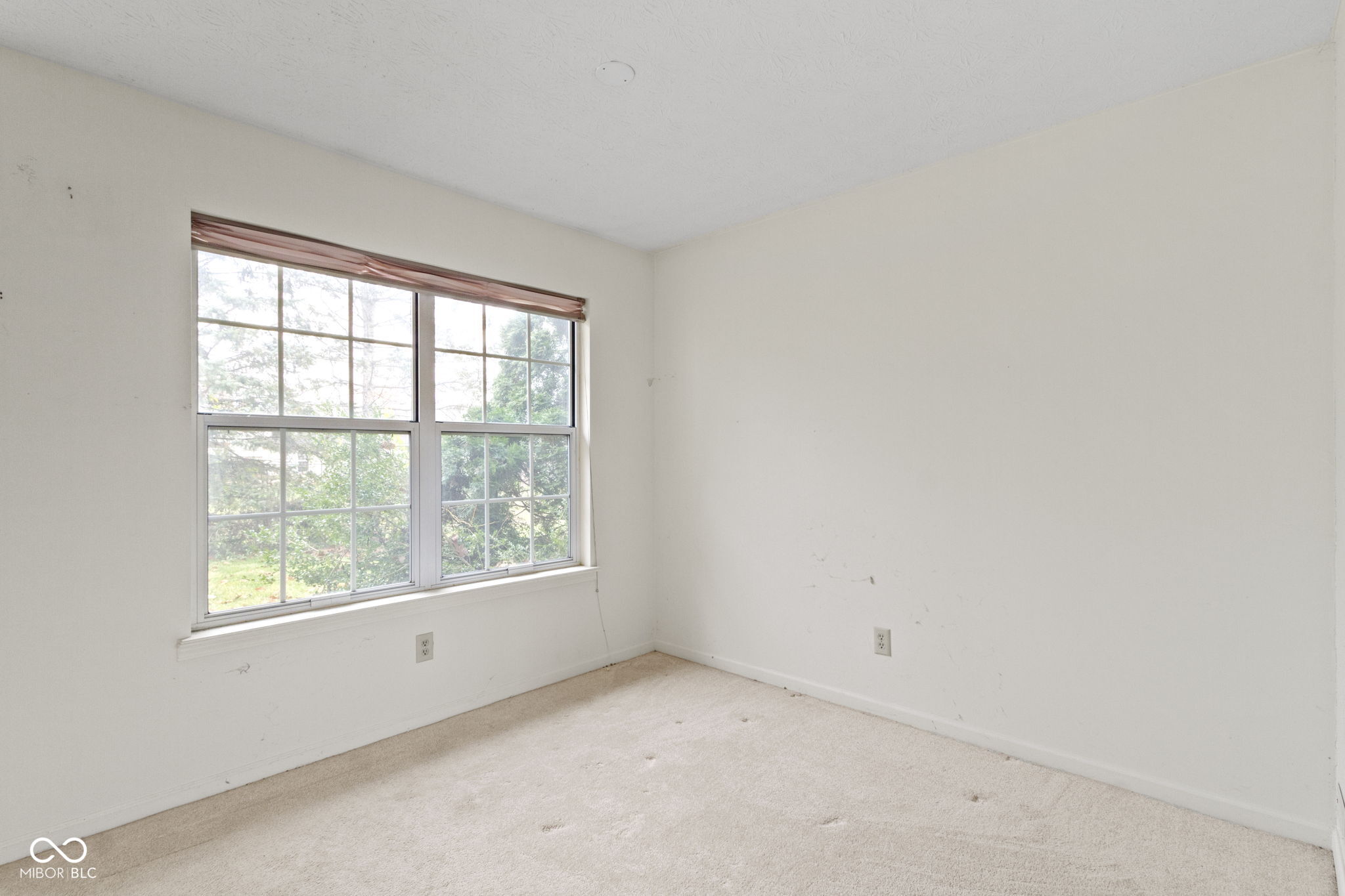 7020 Ringtail Court