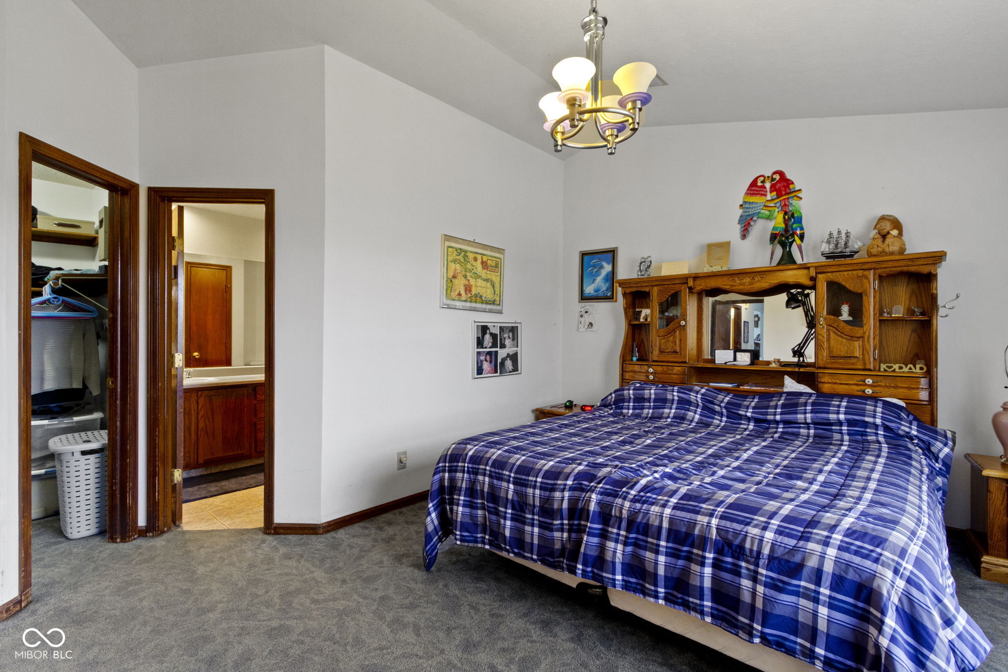 7024 Ringtail Court
