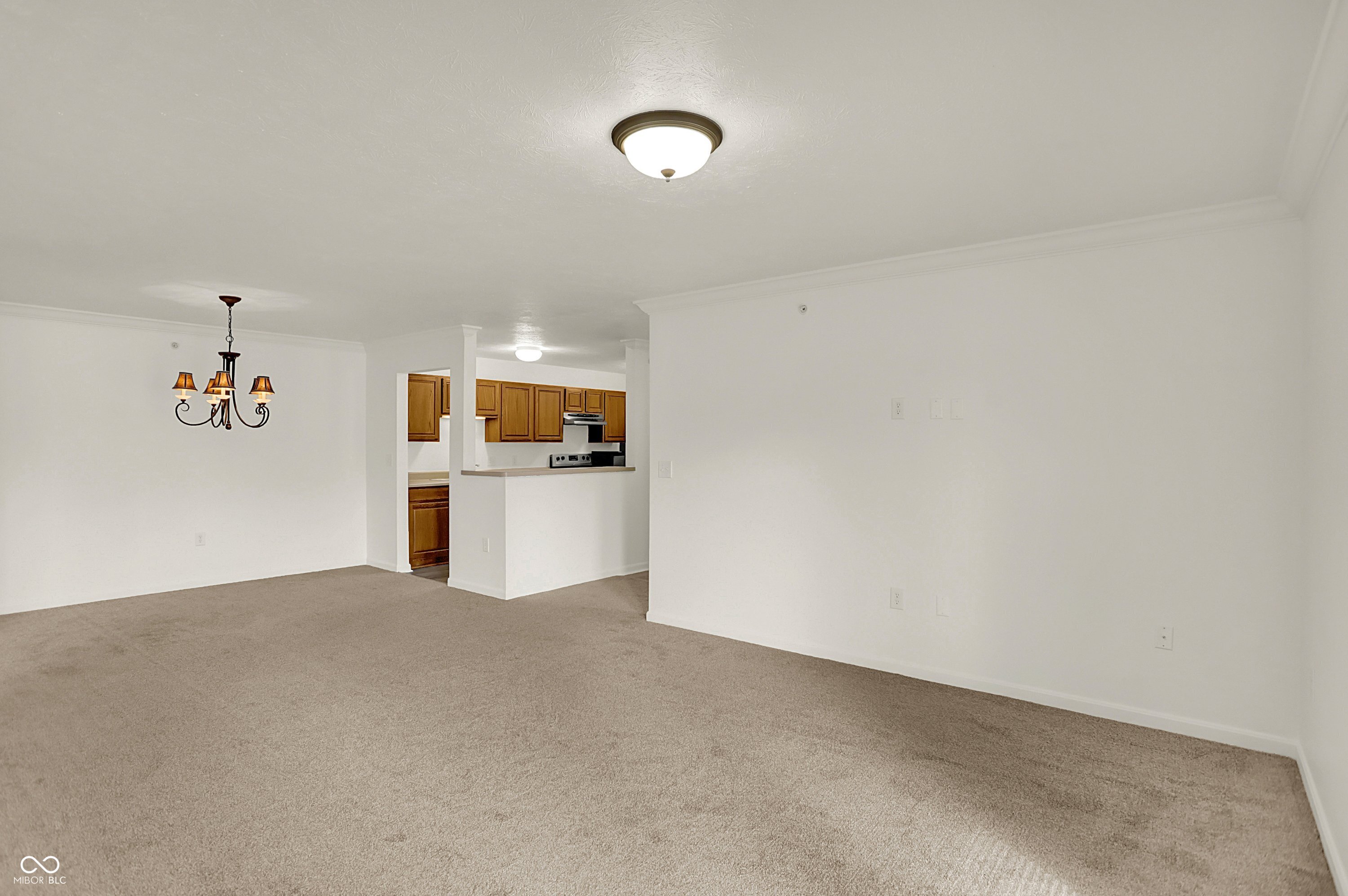 8920 Hunters Creek Drive Unit: 101