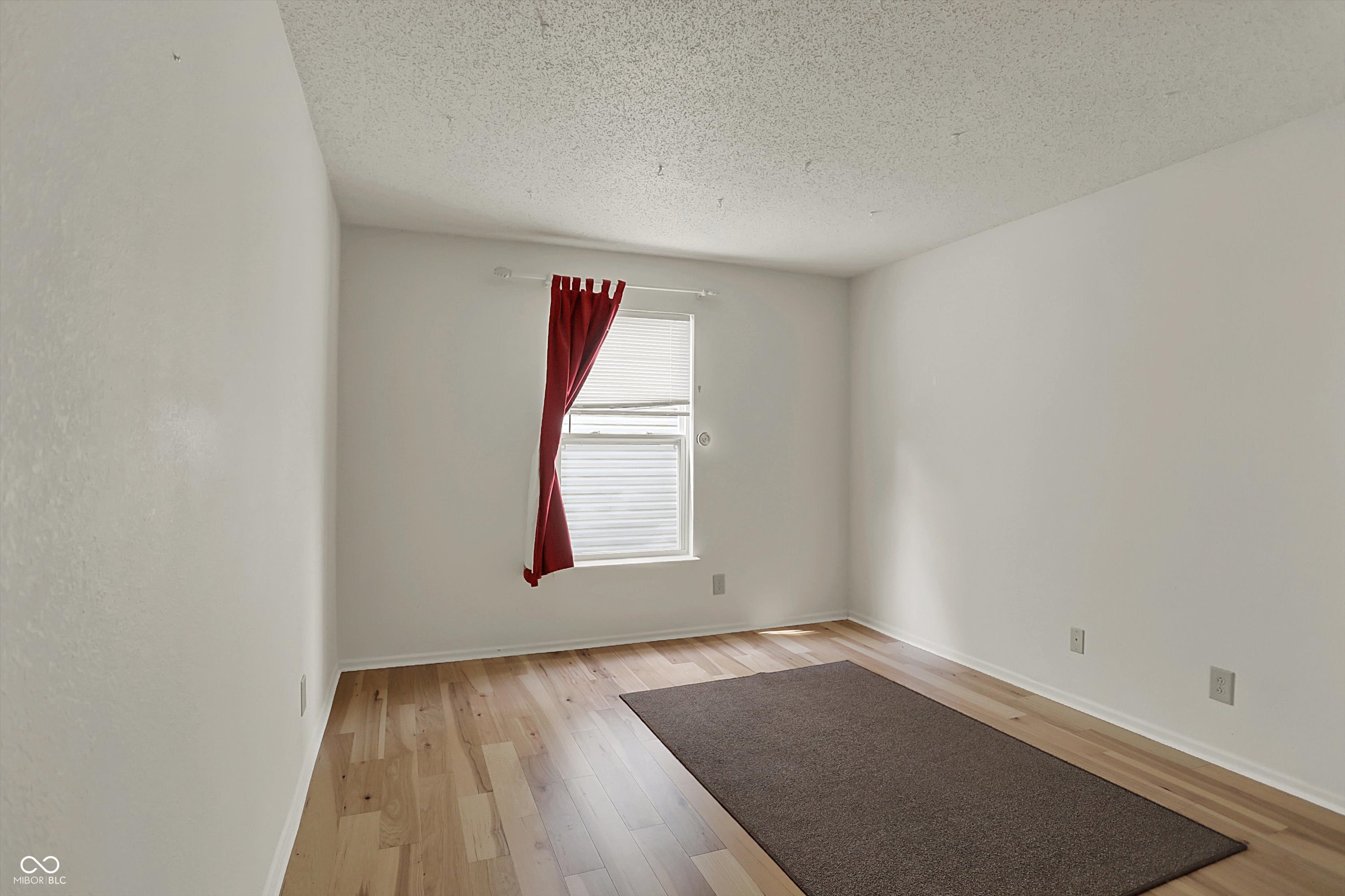 12404 Rose Haven Drive