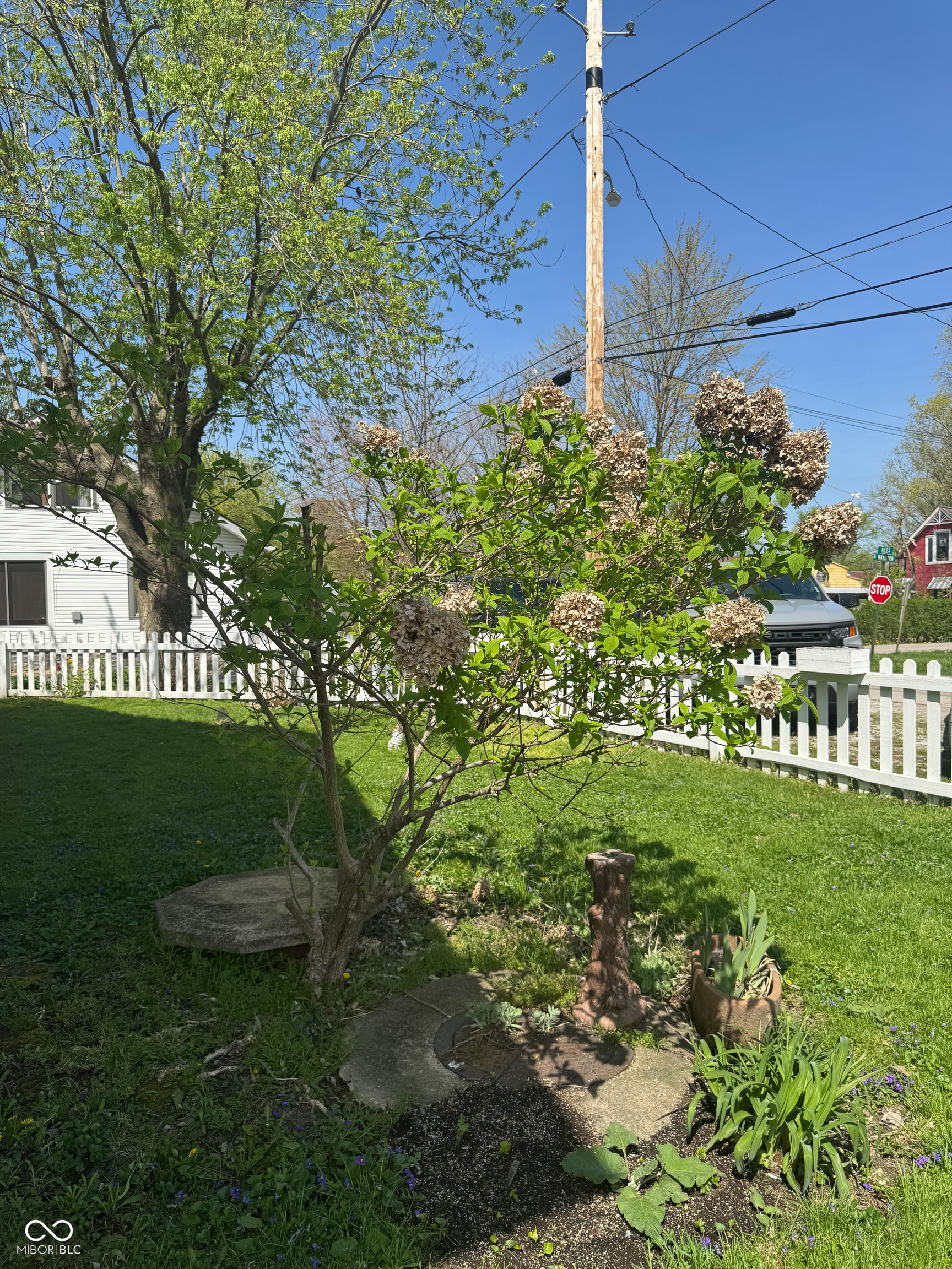 25 N Wayburn Street