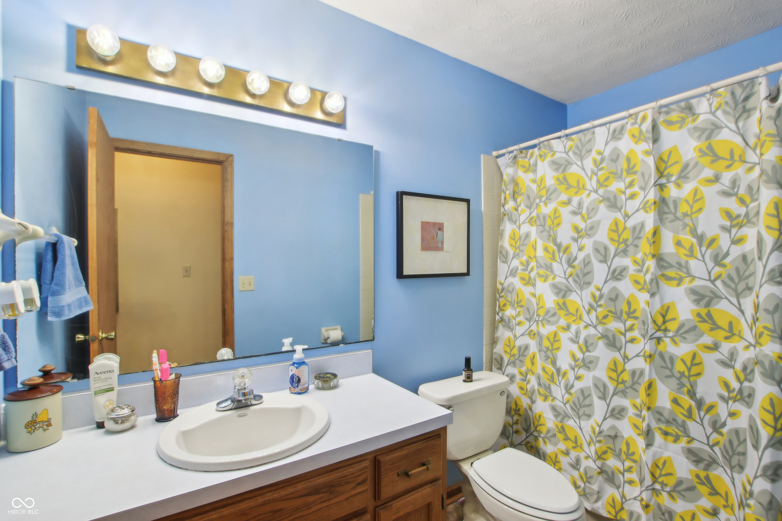 524 Deerberry Drive