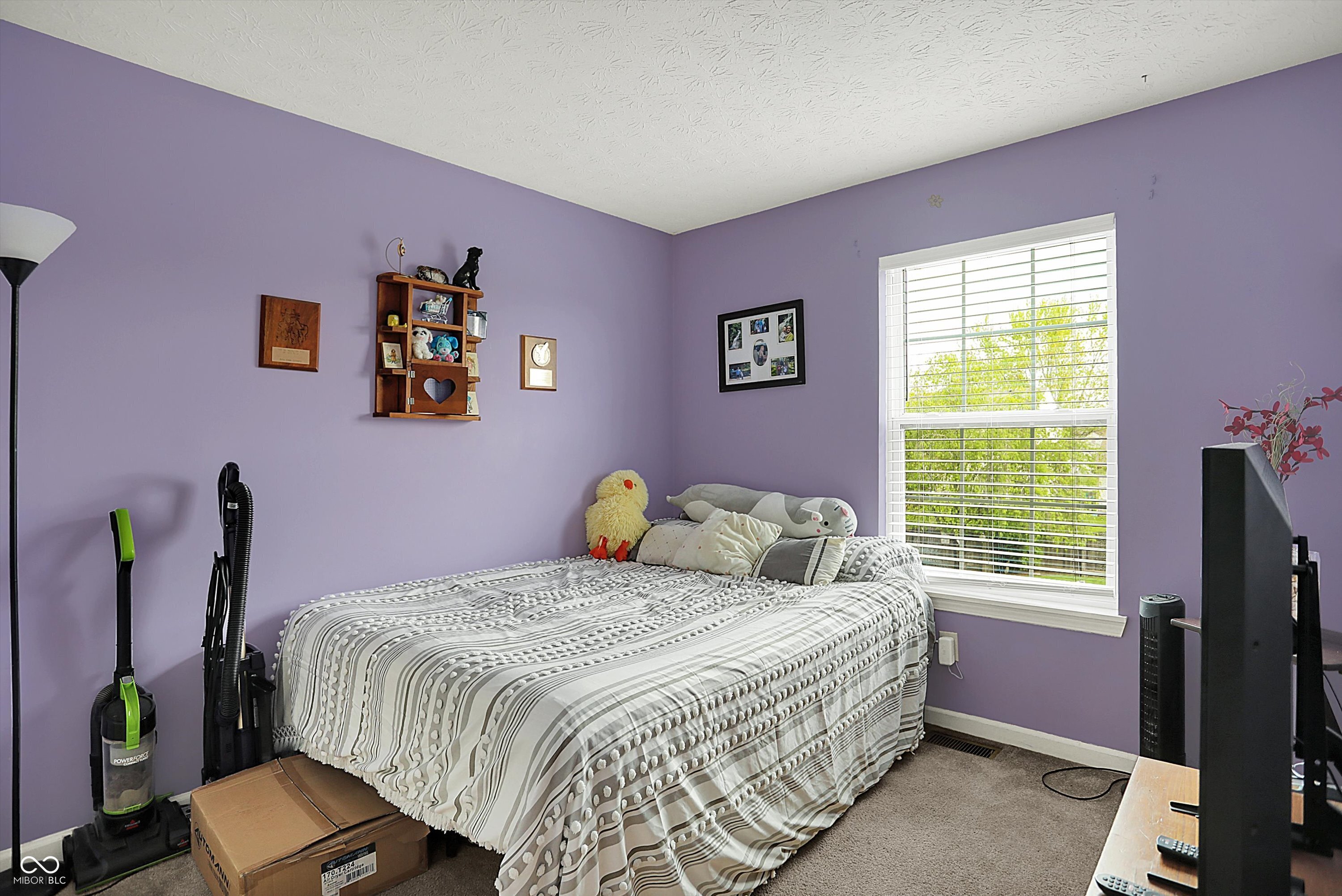 12984 Shandon Lane