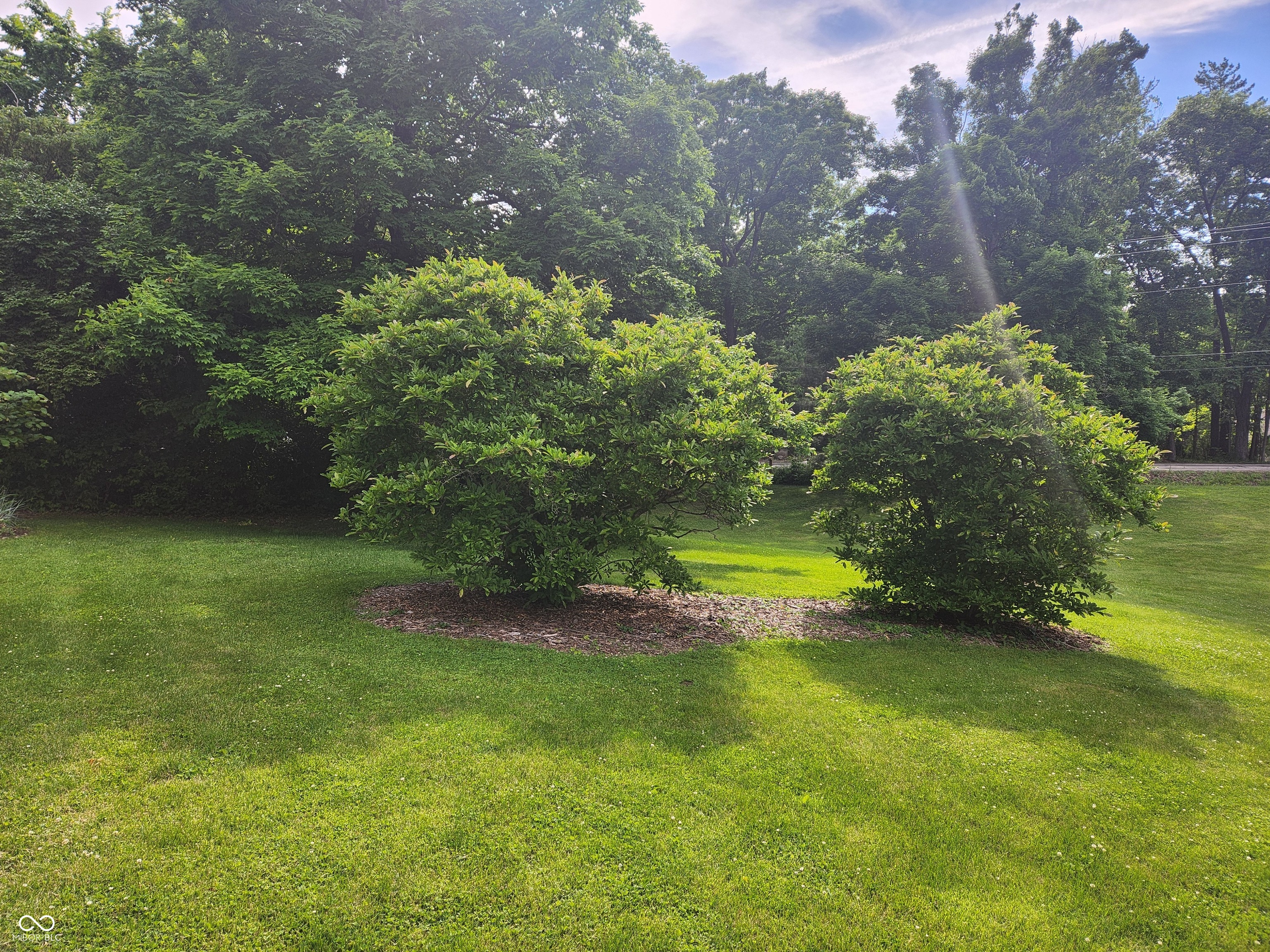7039 Lantern Road