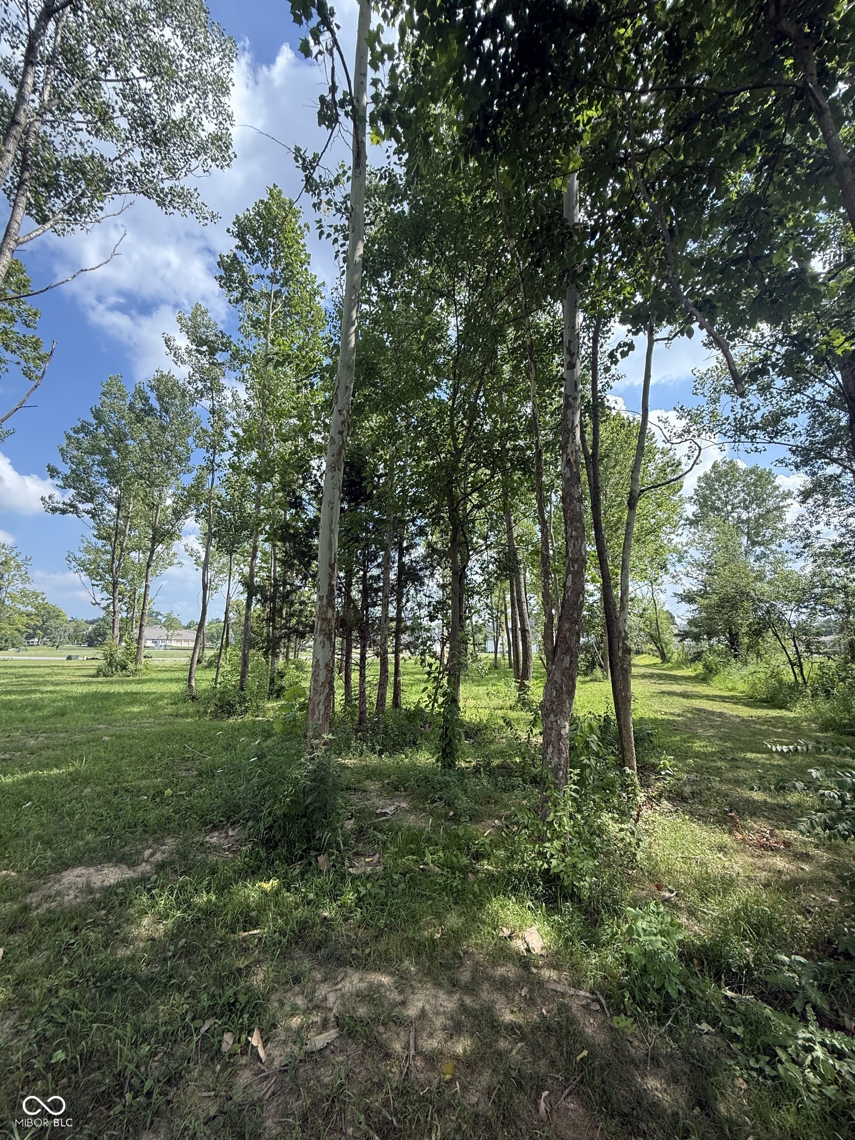 4834 Lakeview Drive