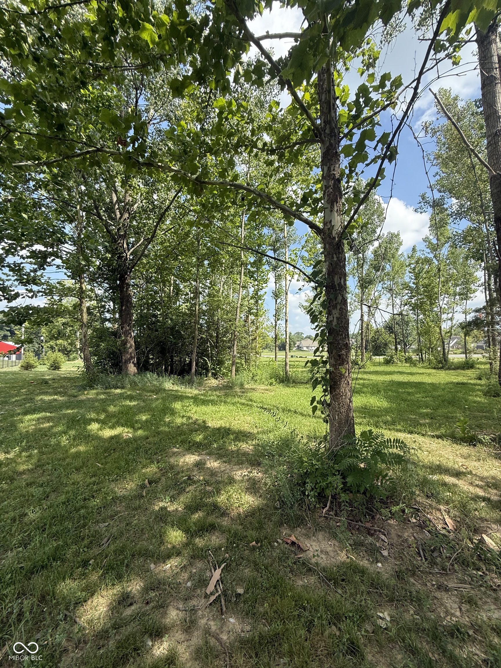 4846 Lakeview Drive