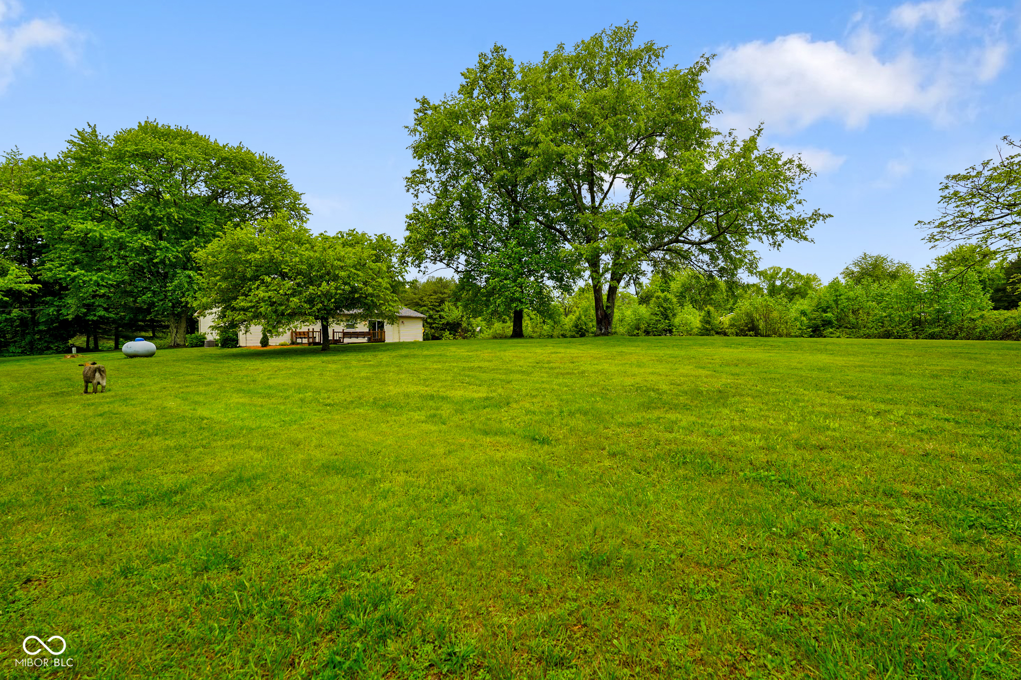 1401 W Dittemore Road