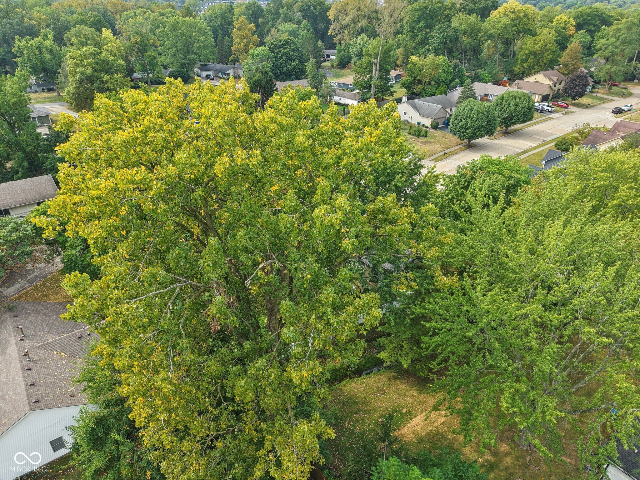 521 Thornberry Drive