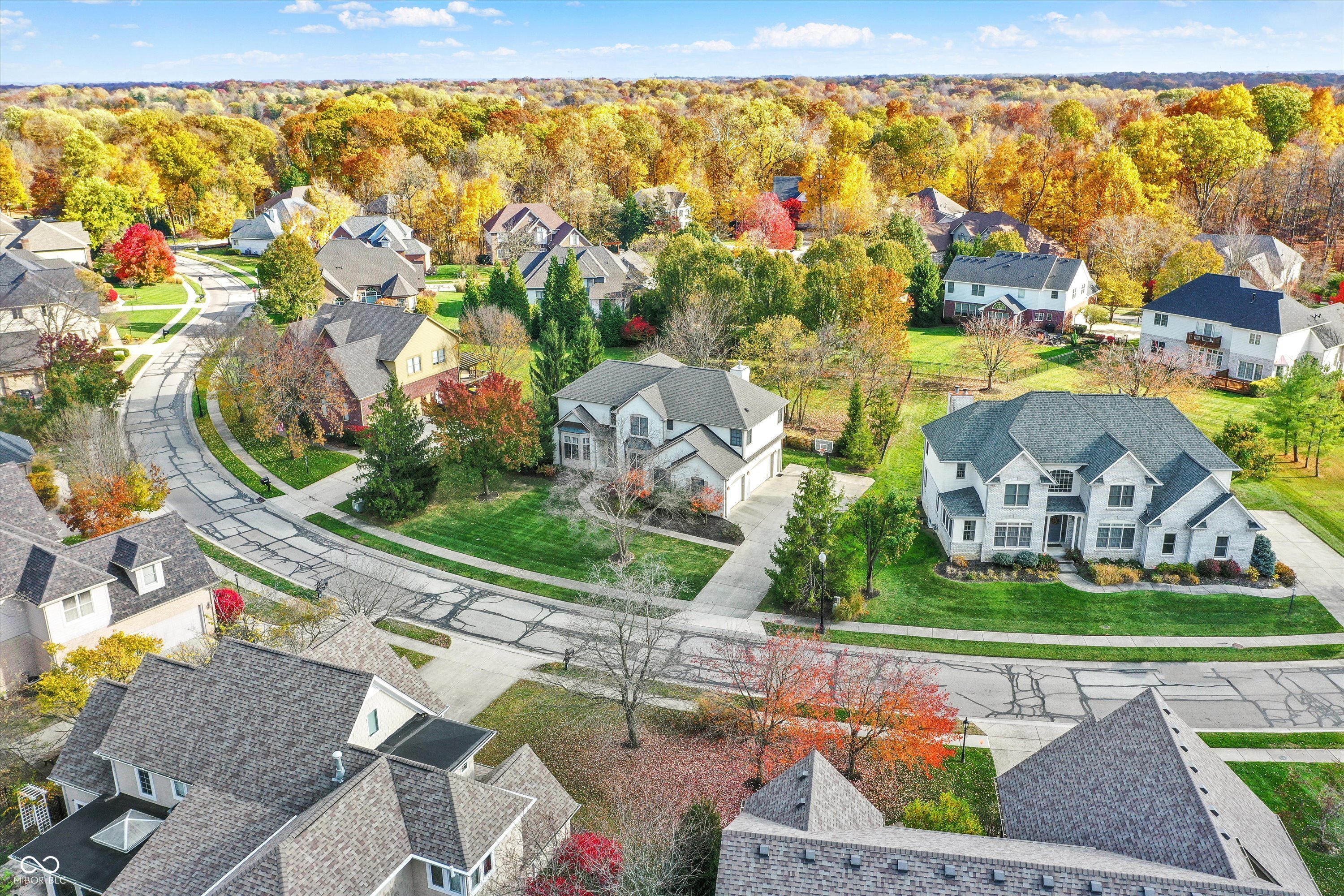 9325 Timberline Drive