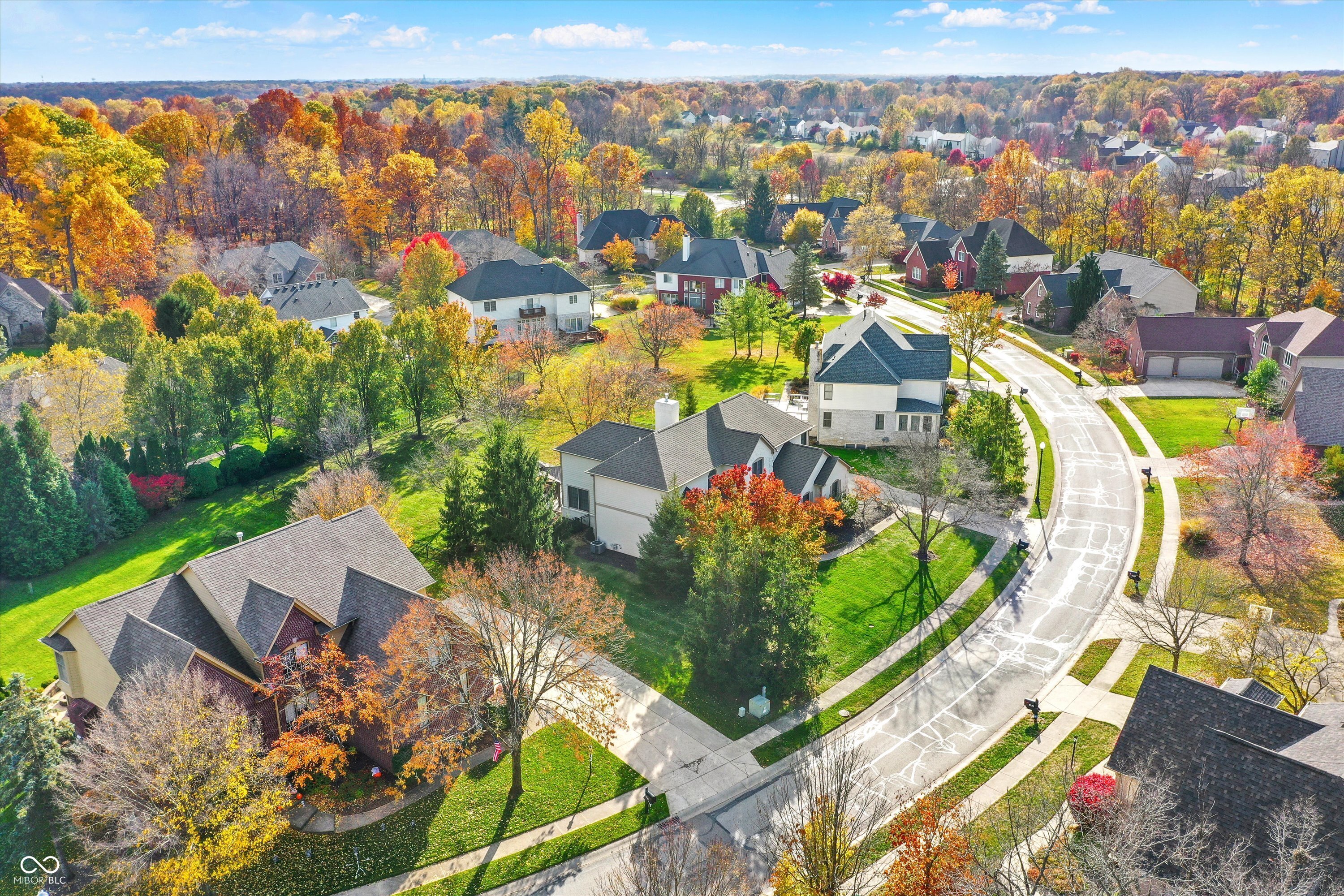 9325 Timberline Drive