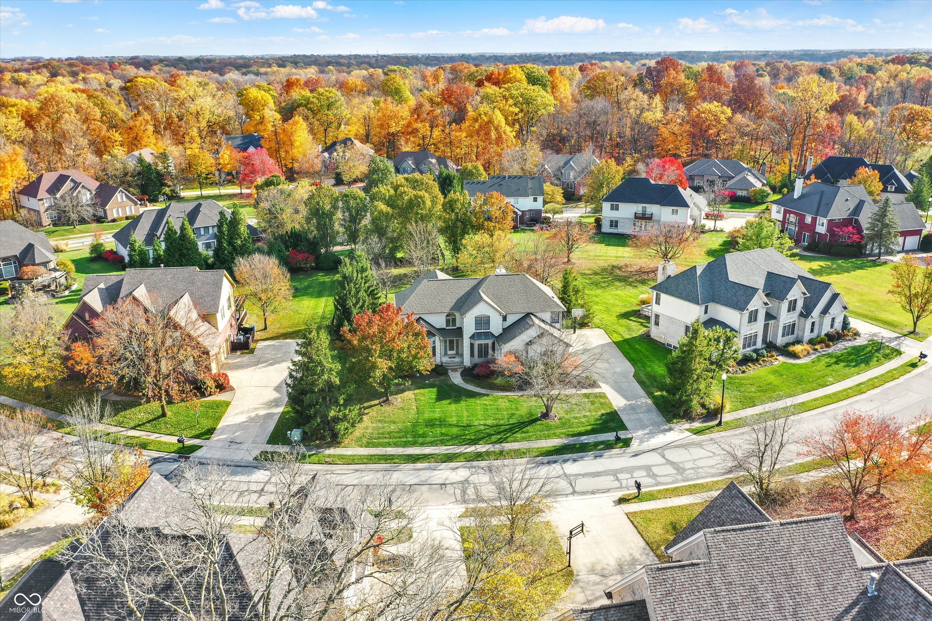 9325 Timberline Drive