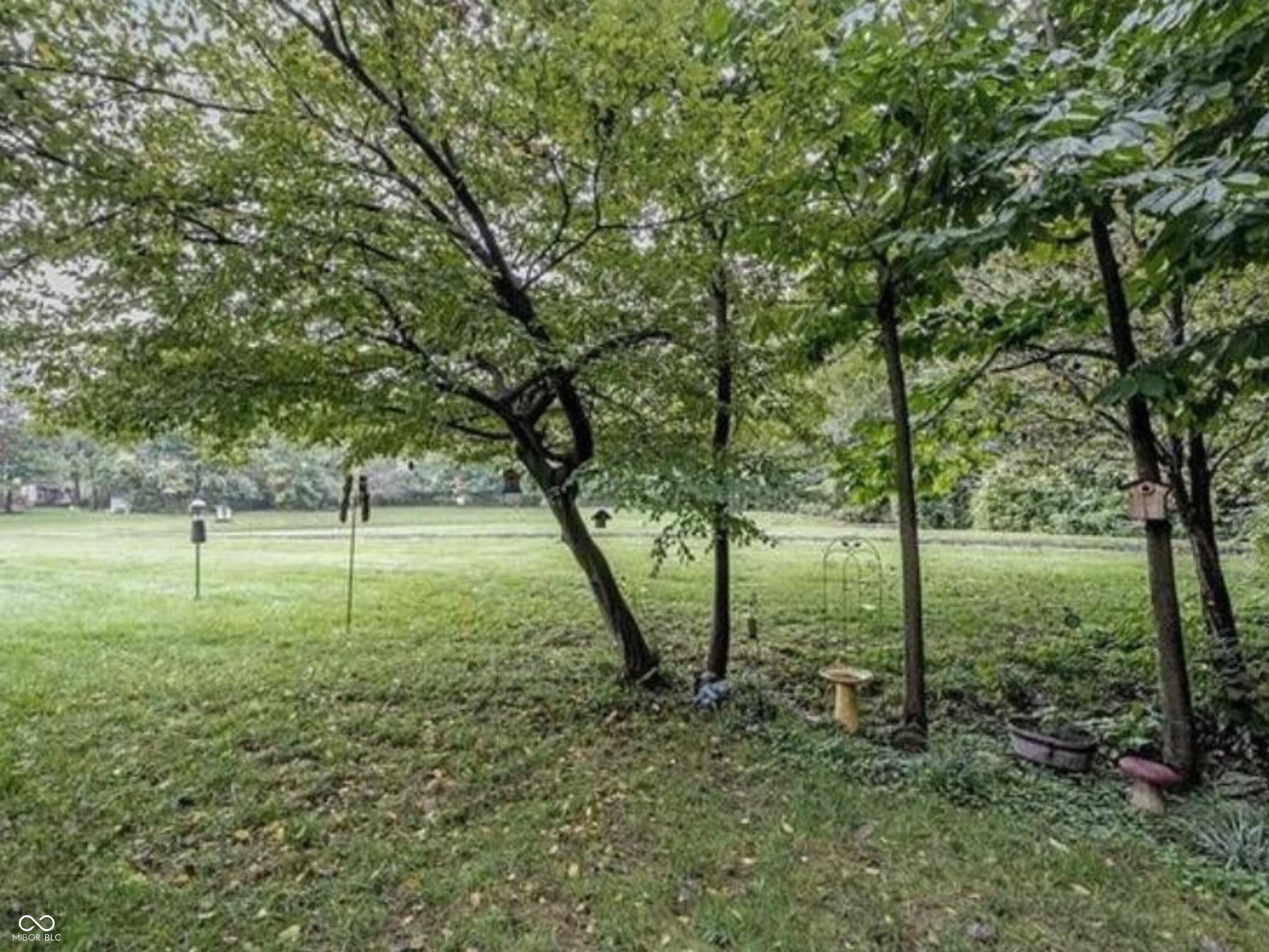 11298 Squirrel Hollow