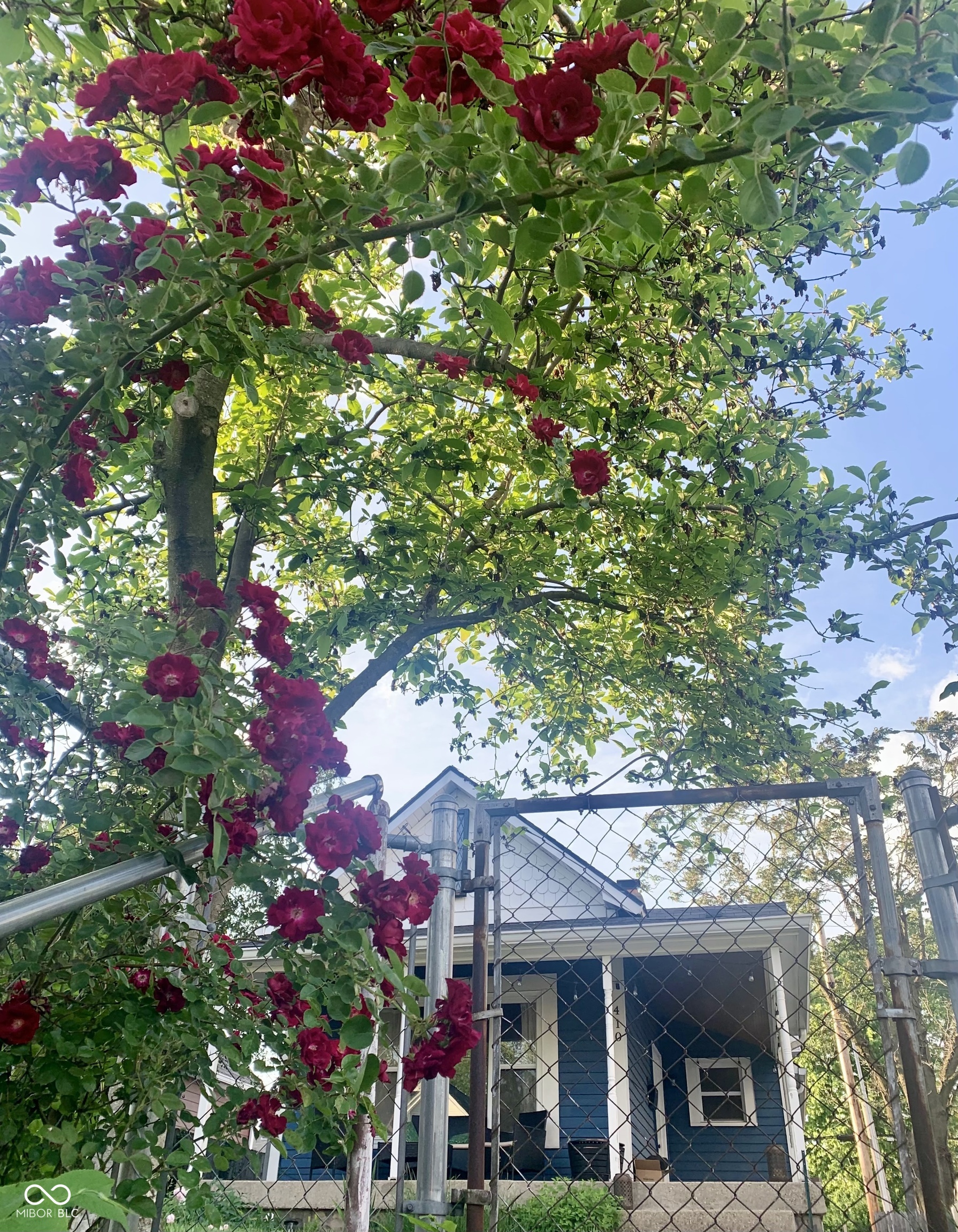 410 Sanders Street