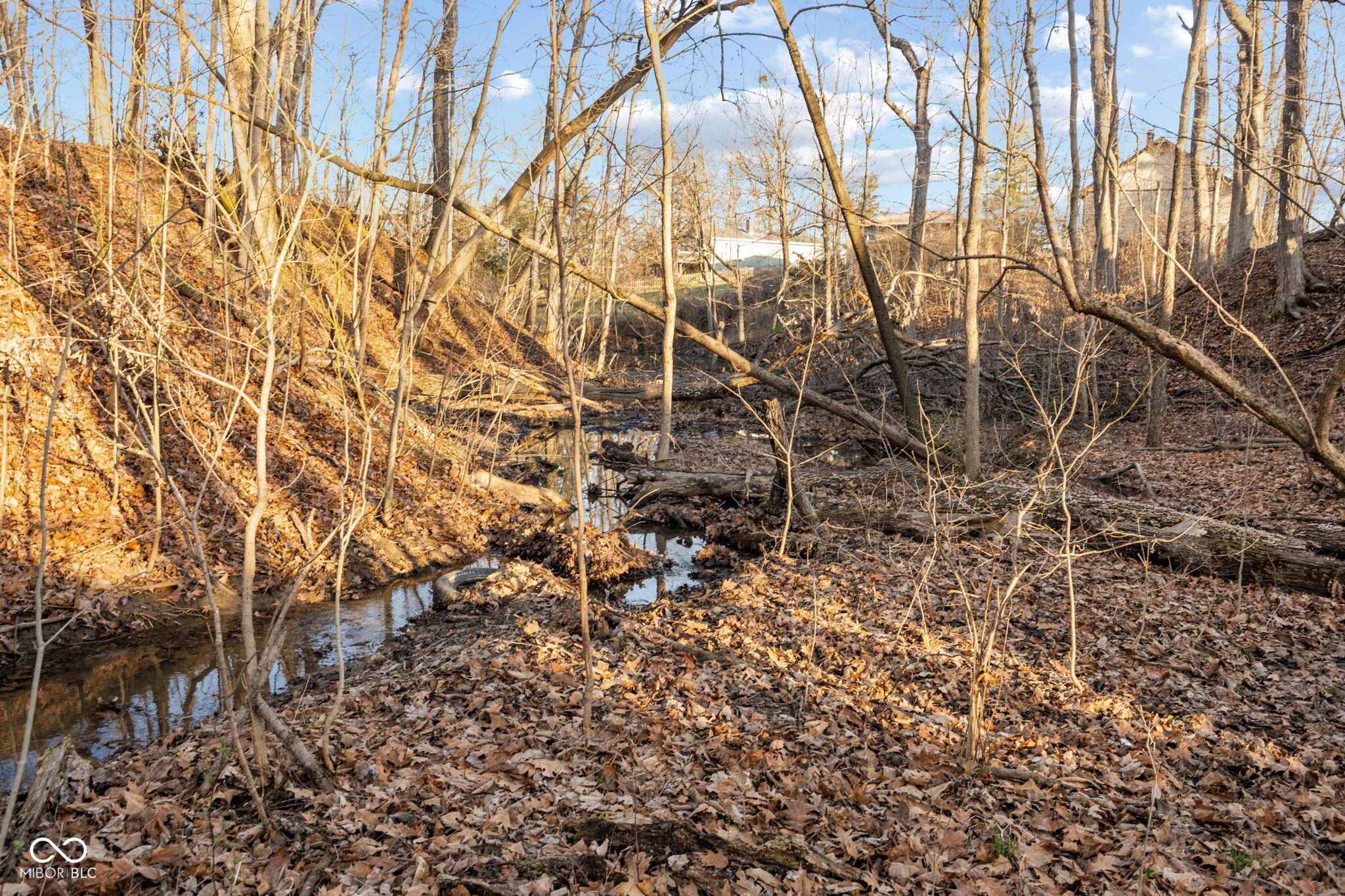 0 Paradise Lake Road