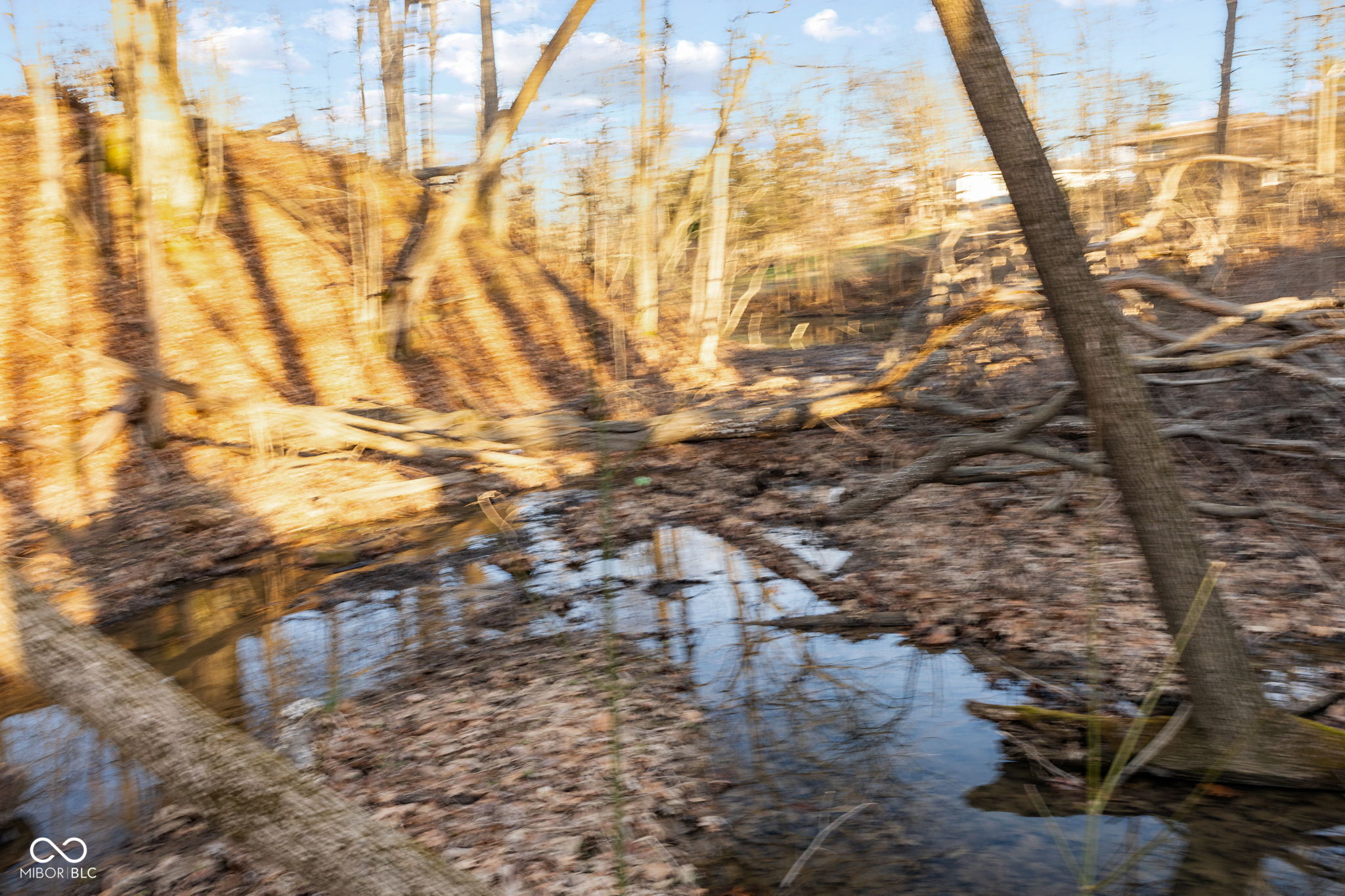 0 Paradise Lake Road
