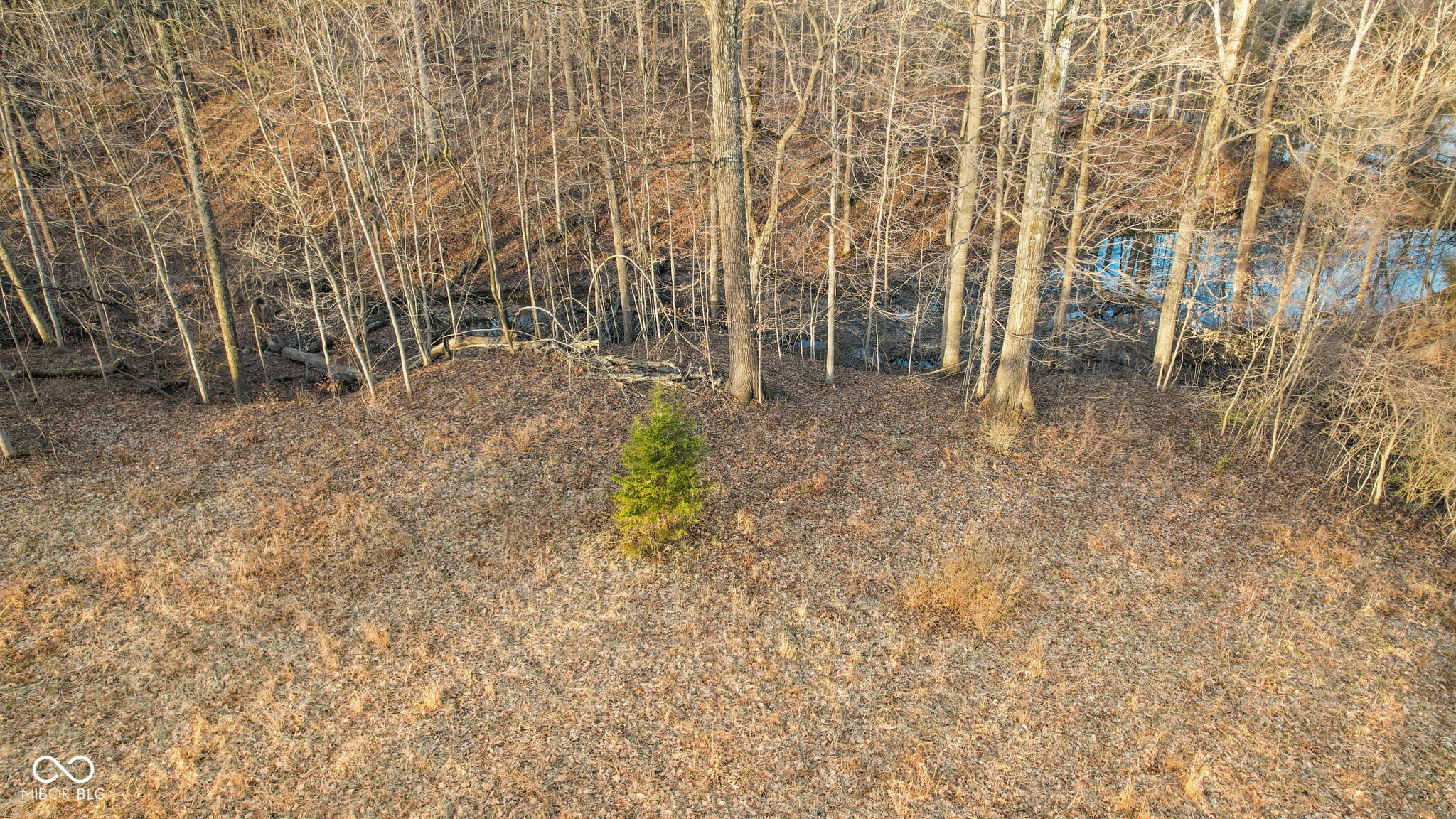 0 Paradise Lake Road