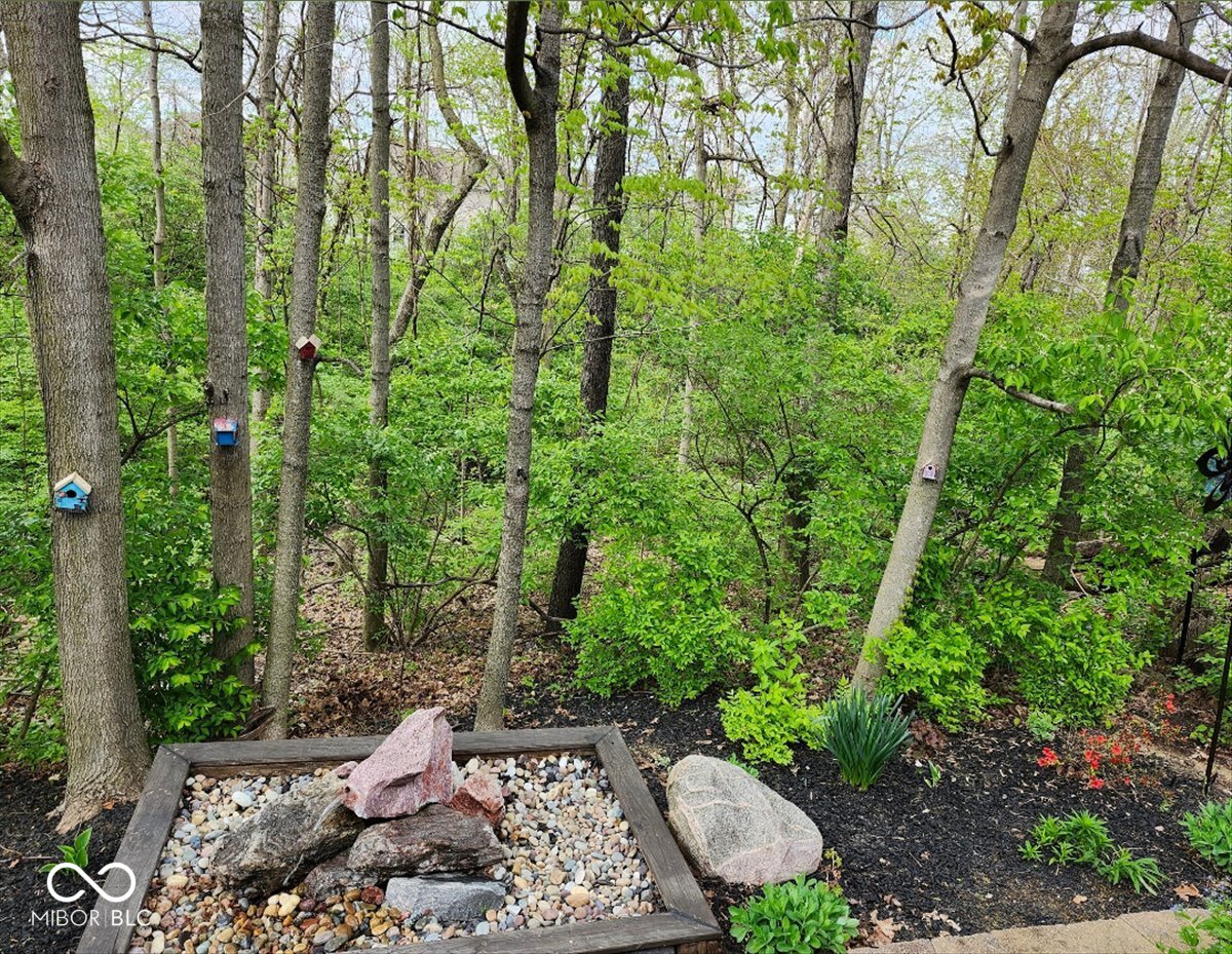 10272 New Dawn Place