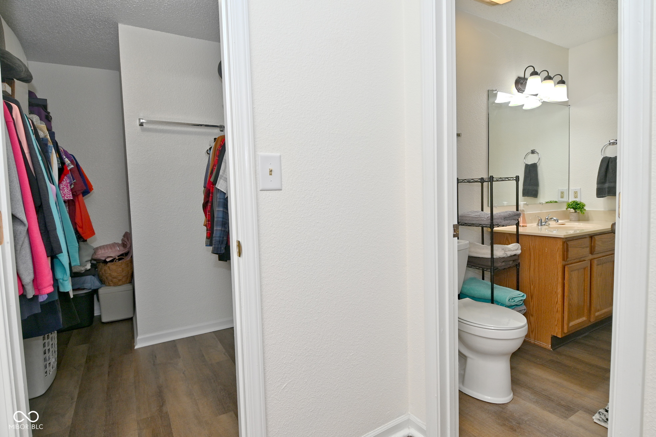 3858 Fetlock Drive