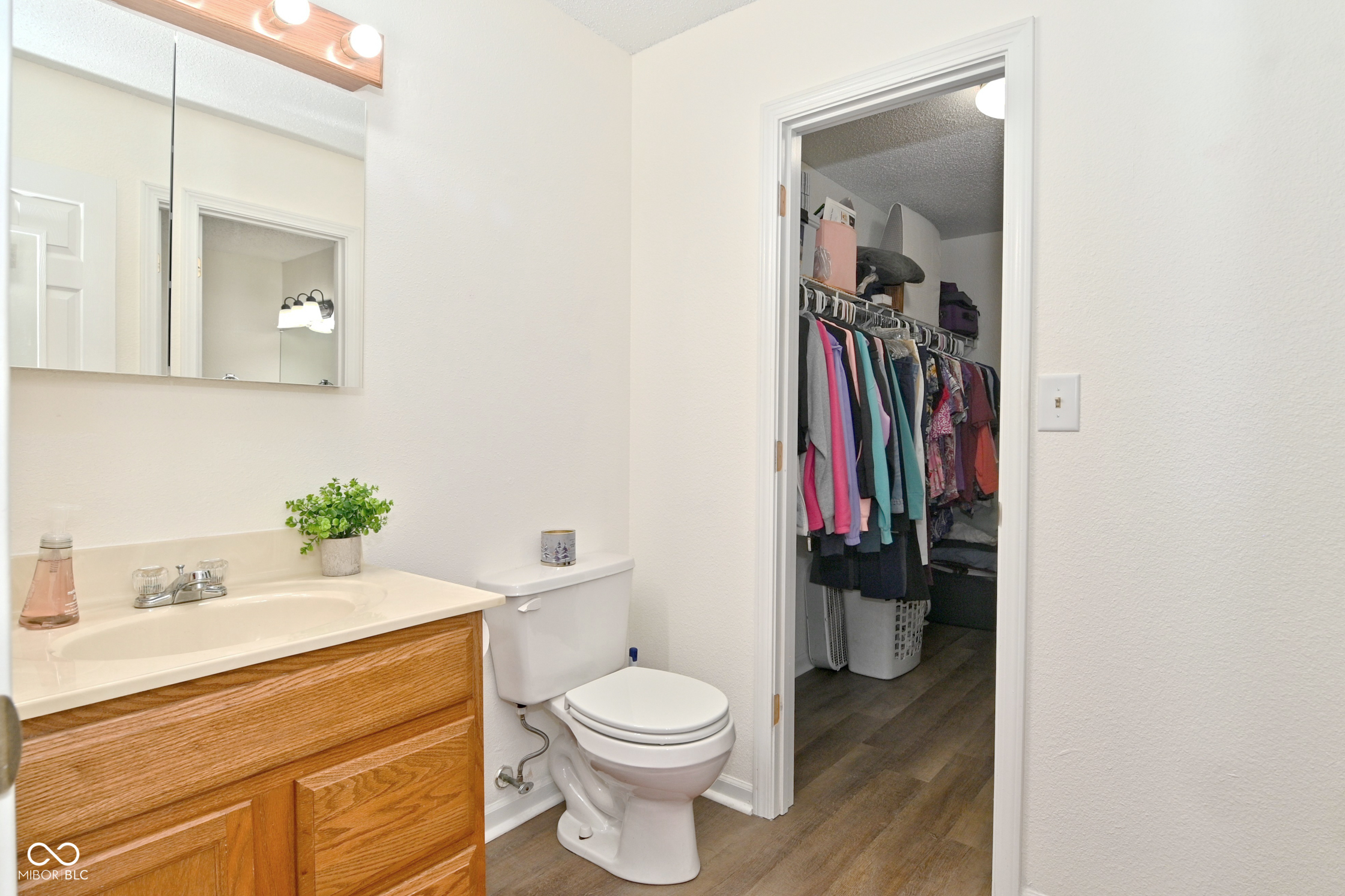 3858 Fetlock Drive