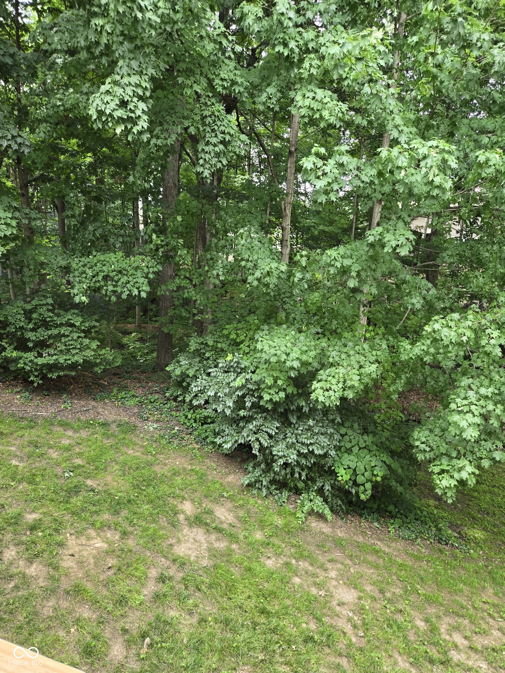 8508 Weaver Woods