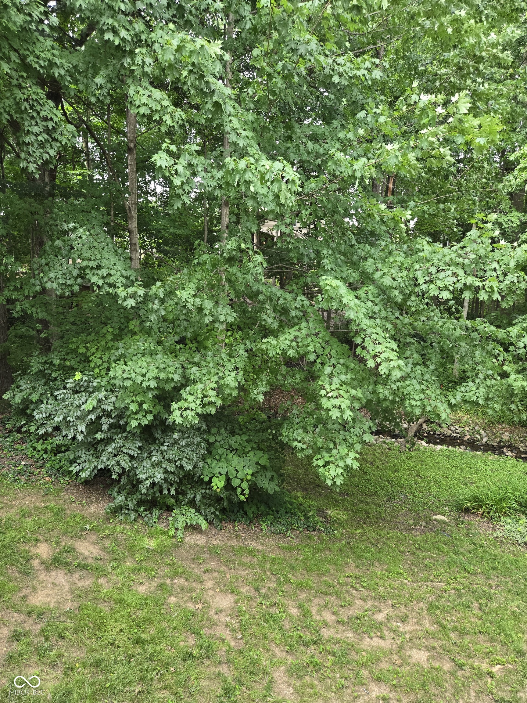 8508 Weaver Woods