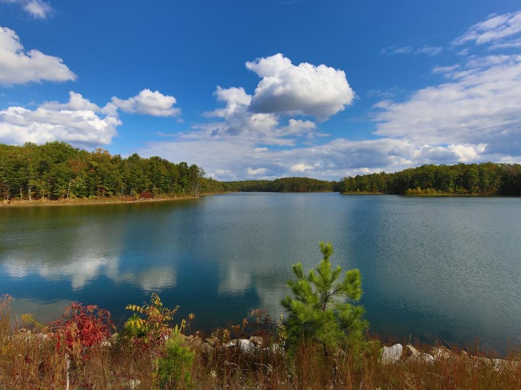 102 Pine Sandy Bank Drive