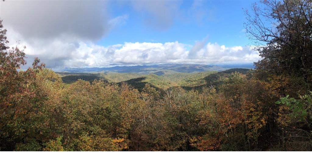 351 Burnt Mountain Ridge Road