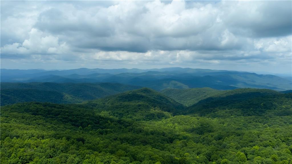 351 Burnt Mountain Ridge Road