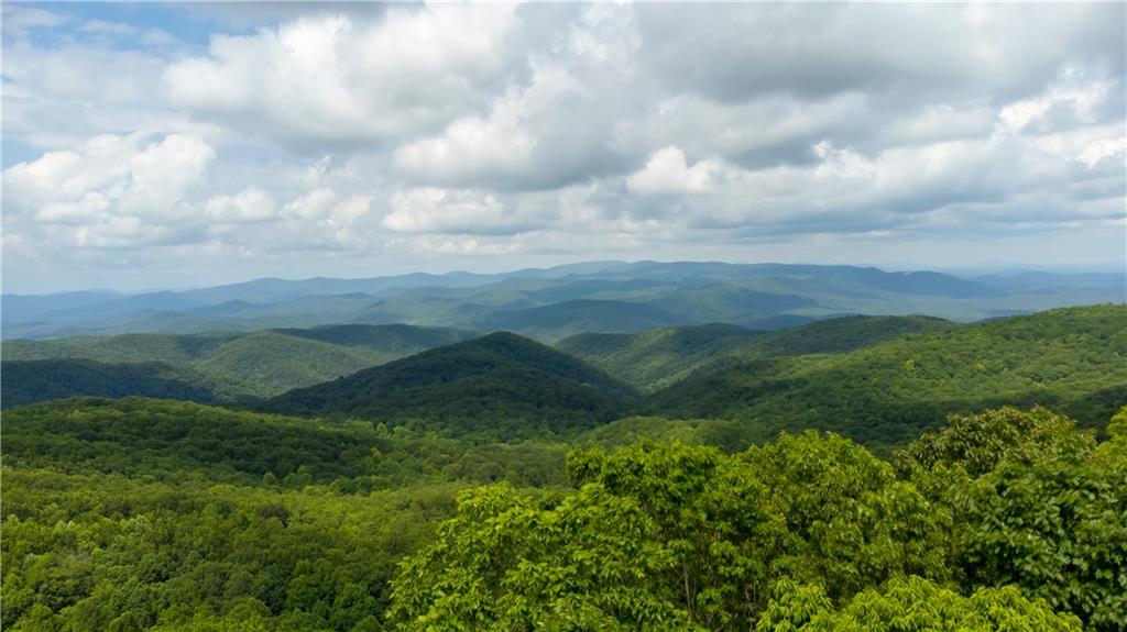 351 Burnt Mountain Ridge Road