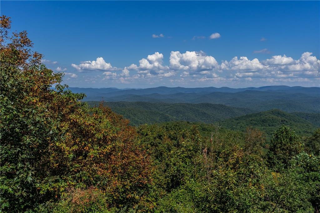 251 Burnt Mountain Ridge Road