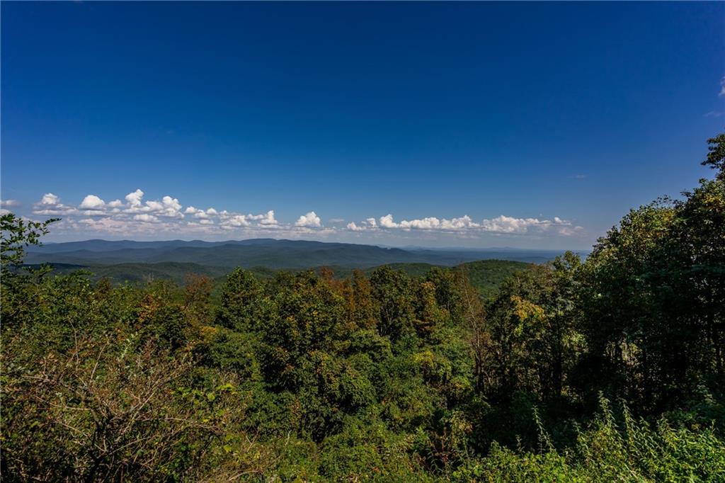 251 Burnt Mountain Ridge Road