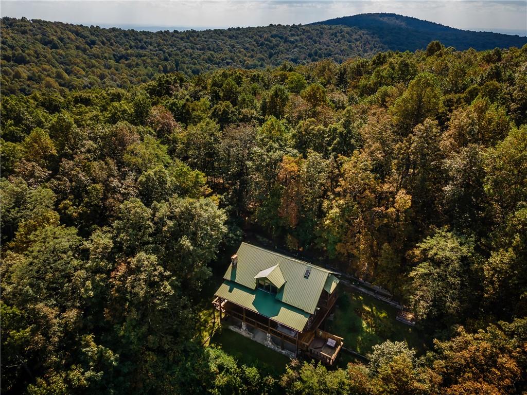 251 Burnt Mountain Ridge Road