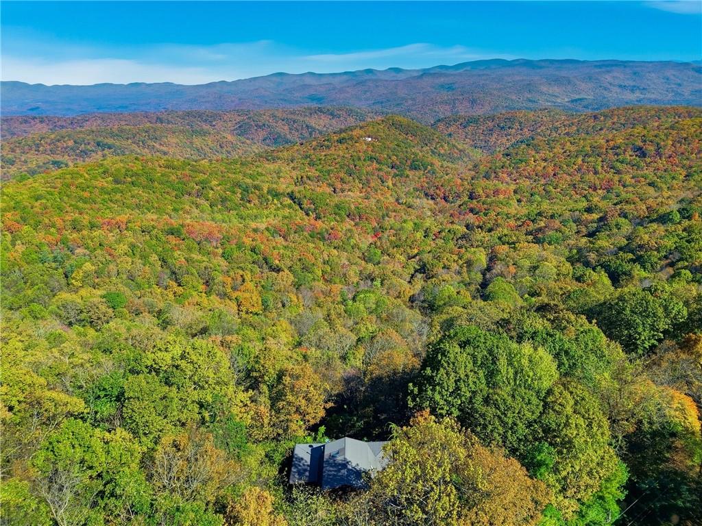 463 Burnt Mountain Ridge Road