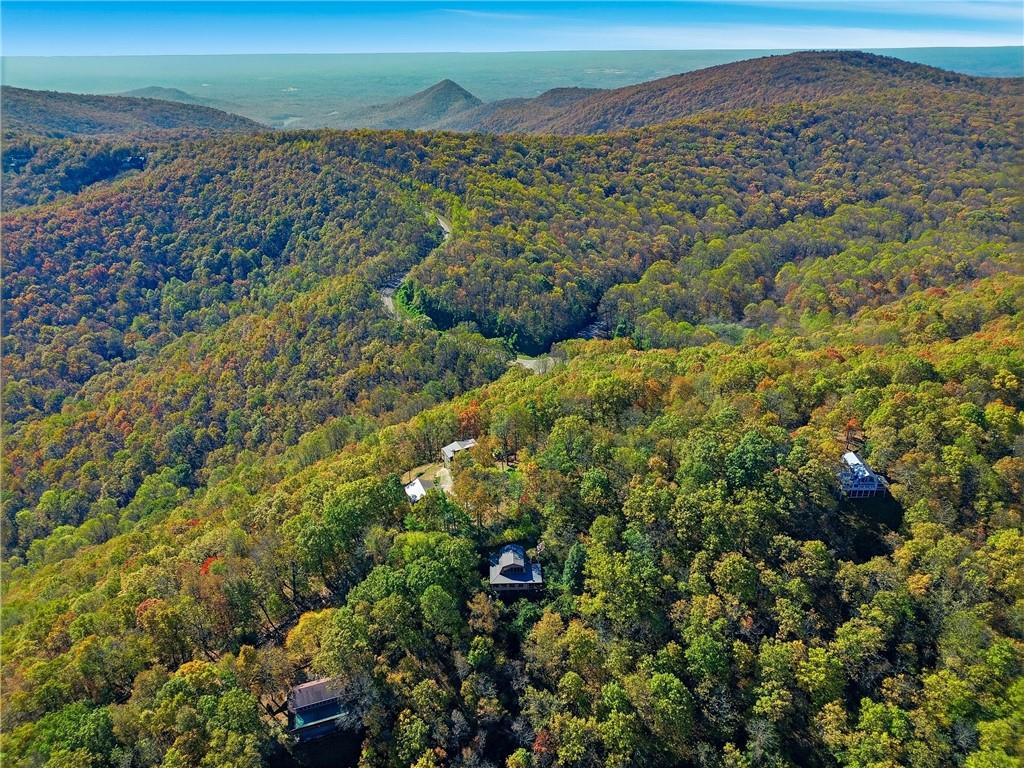 463 Burnt Mountain Ridge Road