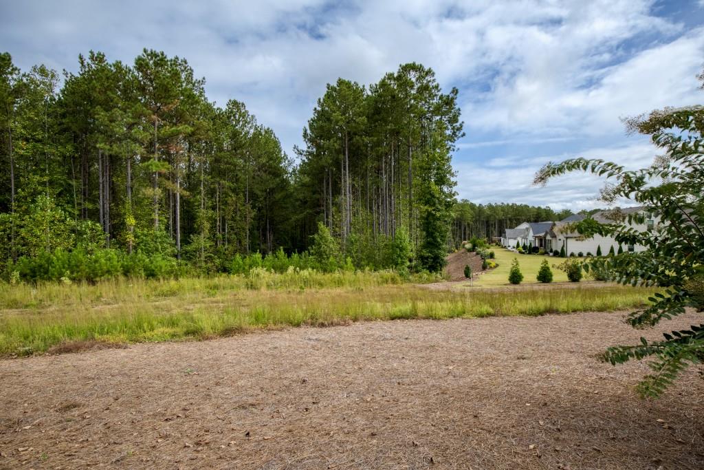 219 Belmont Park Drive