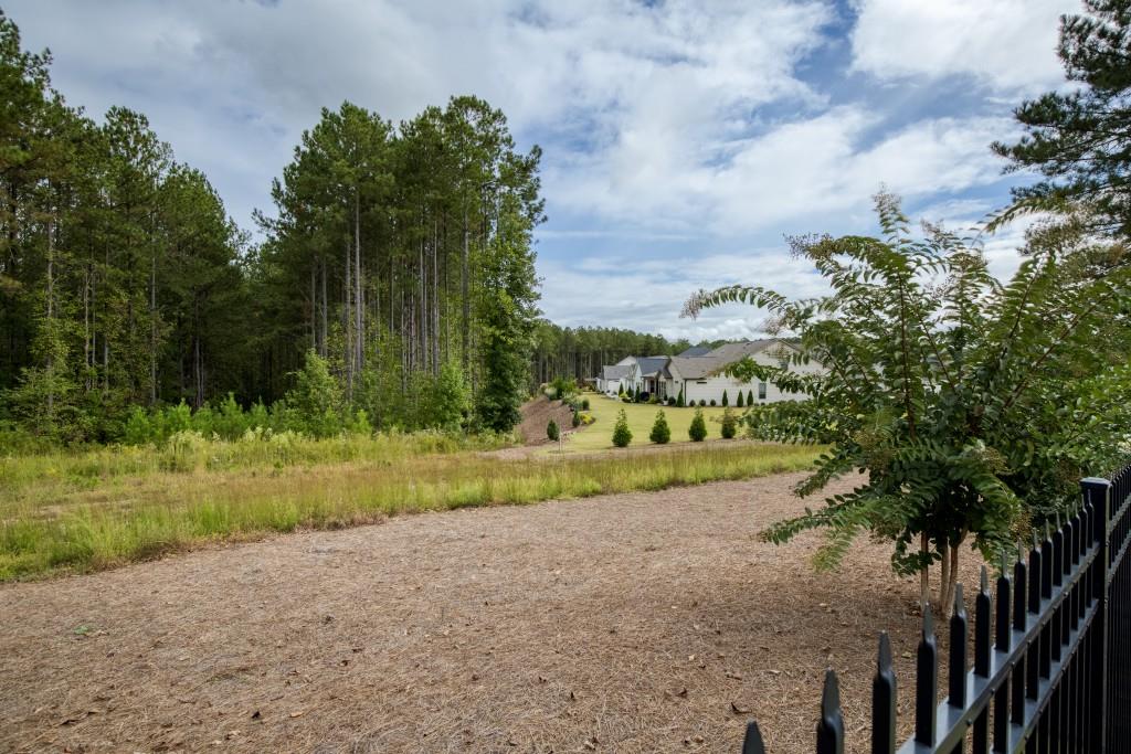 219 Belmont Park Drive