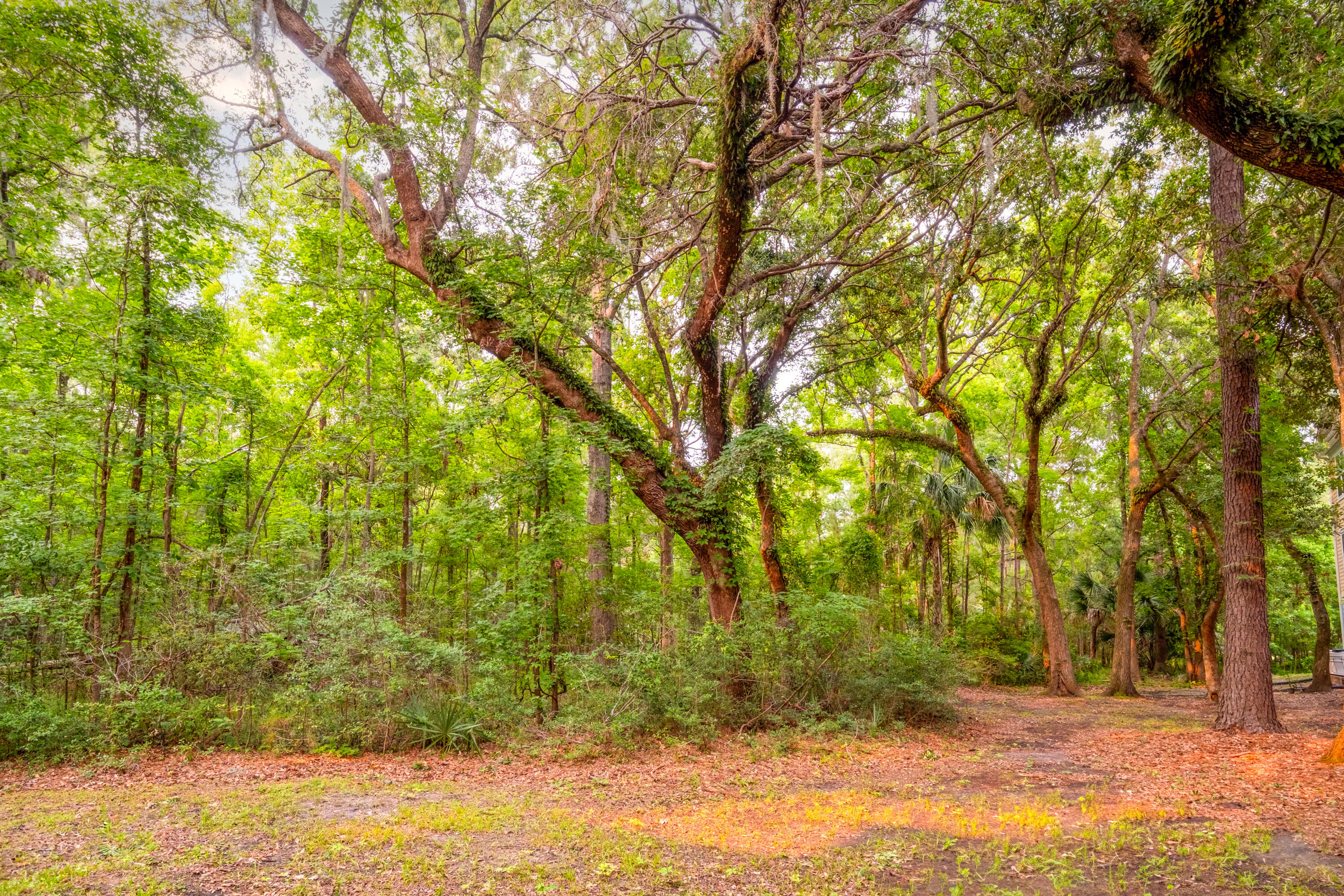 300 Bucksley Lane # 102