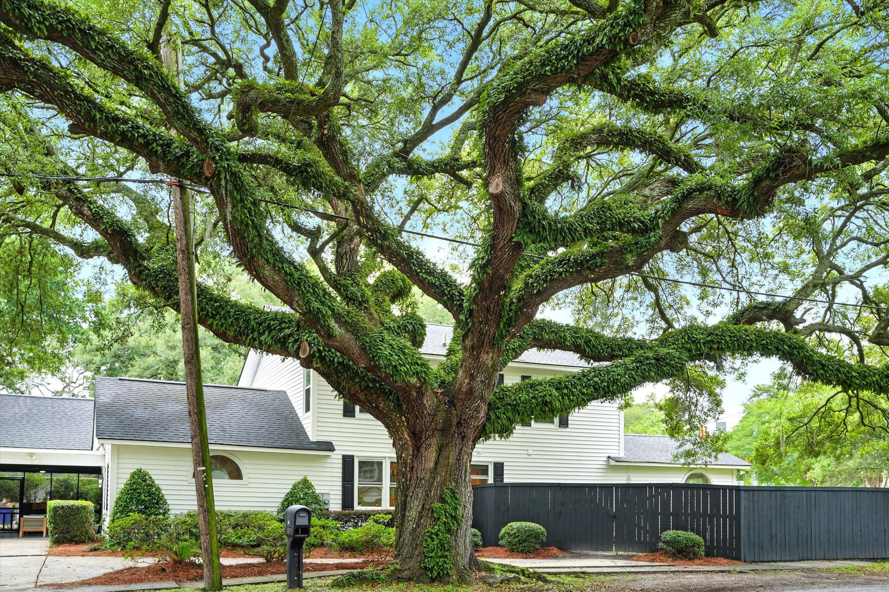 51 Stocker Drive