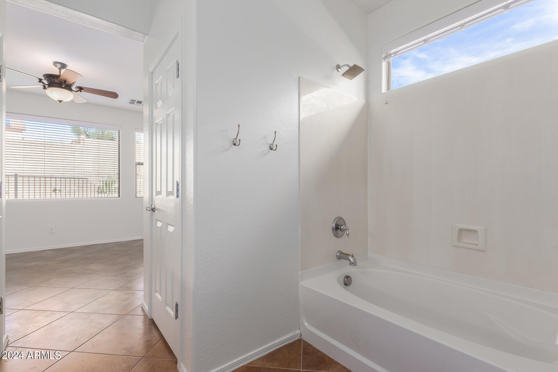 3826 W GHOST FLOWER Lane